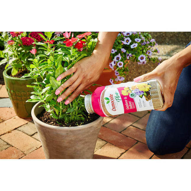 OSMOCOTE PLUS PLANT FOOD (1 lb)