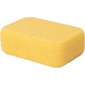 SPONGE