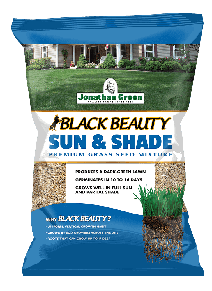 3lbs Black Beauty® Sun &amp; Shade Grass Seed