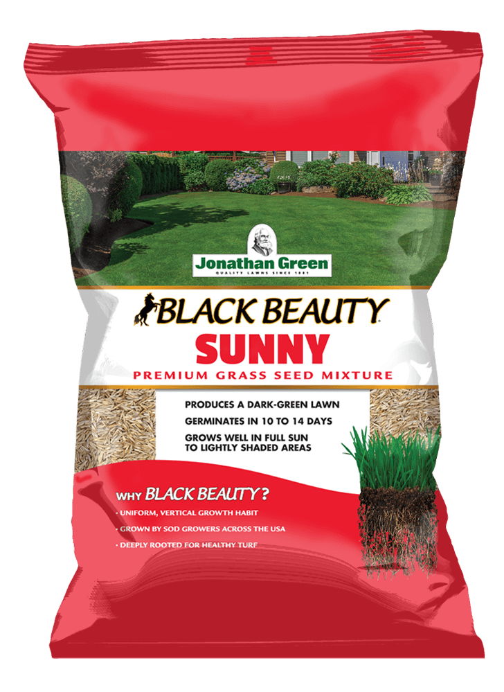 3lbs Black Beauty® Sunny Grass Seed